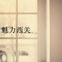 魅力西关公众号ico