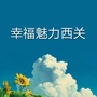 幸福魅力西关ico
