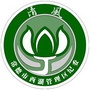 清风新西湖ico
