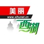 美丽西湖ico