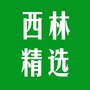 西林精选ico