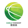 新曹路ico