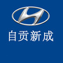 自贡新成北京现代ico