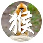 生肖猴运势天天看ico