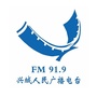 兴城919ico