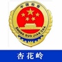 杏花岭检察ico