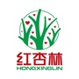红杏林学院公众号ico