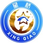 星桥艺科学校ico