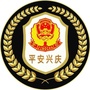 平安兴庆ico