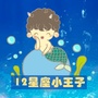 十二星座小王子ico