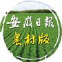 安徽日报农村版公众号ico
