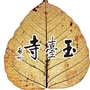 新会玉台禅寺ico