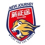 新征途青少年足球ico