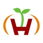 广东专插本新闻眼ico