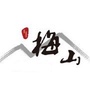 环峰镇梅山村民委员会ico