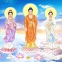 弥陀学苑ico