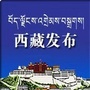 西藏发布ico