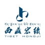 西藏宏绩集团ico