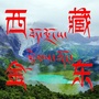西藏金东公众号ico