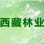 西藏林业ico