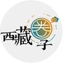 西藏圈子公众号ico