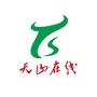 天山在线ico