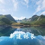 新建林长ico