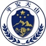 平安天山ico