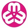湖里巾帼ico