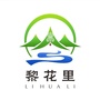寻梦黎花里ico