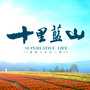 厦门十里蓝山ico