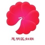 思明妇联ico