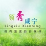 指尖咸宁ico