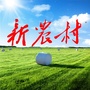 赣南新农村ico