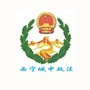 西宁城中政法ico