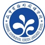 咸宁实验外国语学校ico