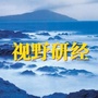视野研经ico