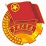 新都区新庞村青年ico