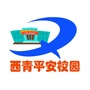 西青平安校园动态ico