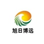 旭日博远资讯ico