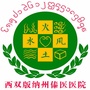 西双版纳州傣医医院ico