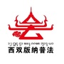 西双版纳普法公众号ico