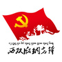 西双版纳先锋ico