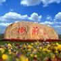 萧山衙前ico