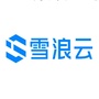 雪浪云ico