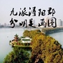 浔阳微城管ico