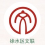 徐水文联ico
