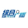 衡水综合广播ico