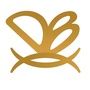 永州潇湘担保ico