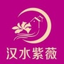 新兴汉水紫薇ico